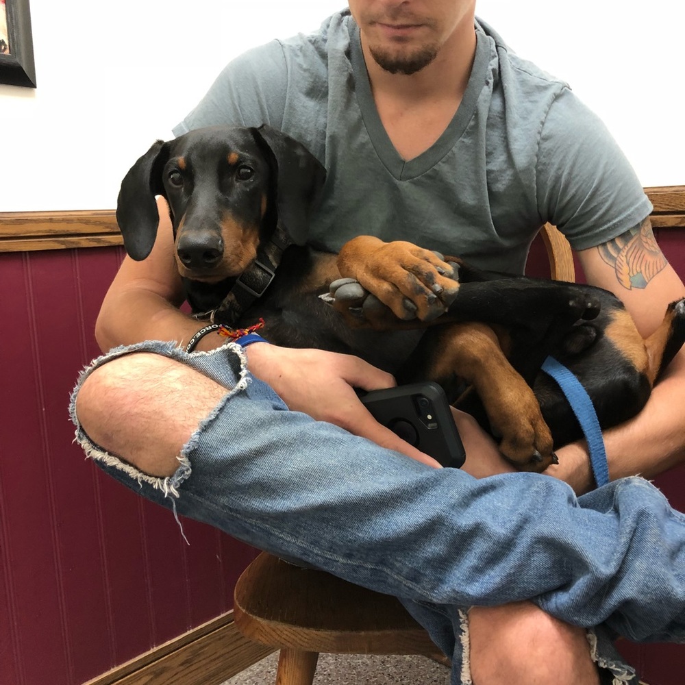 Meet your Posher, Holly